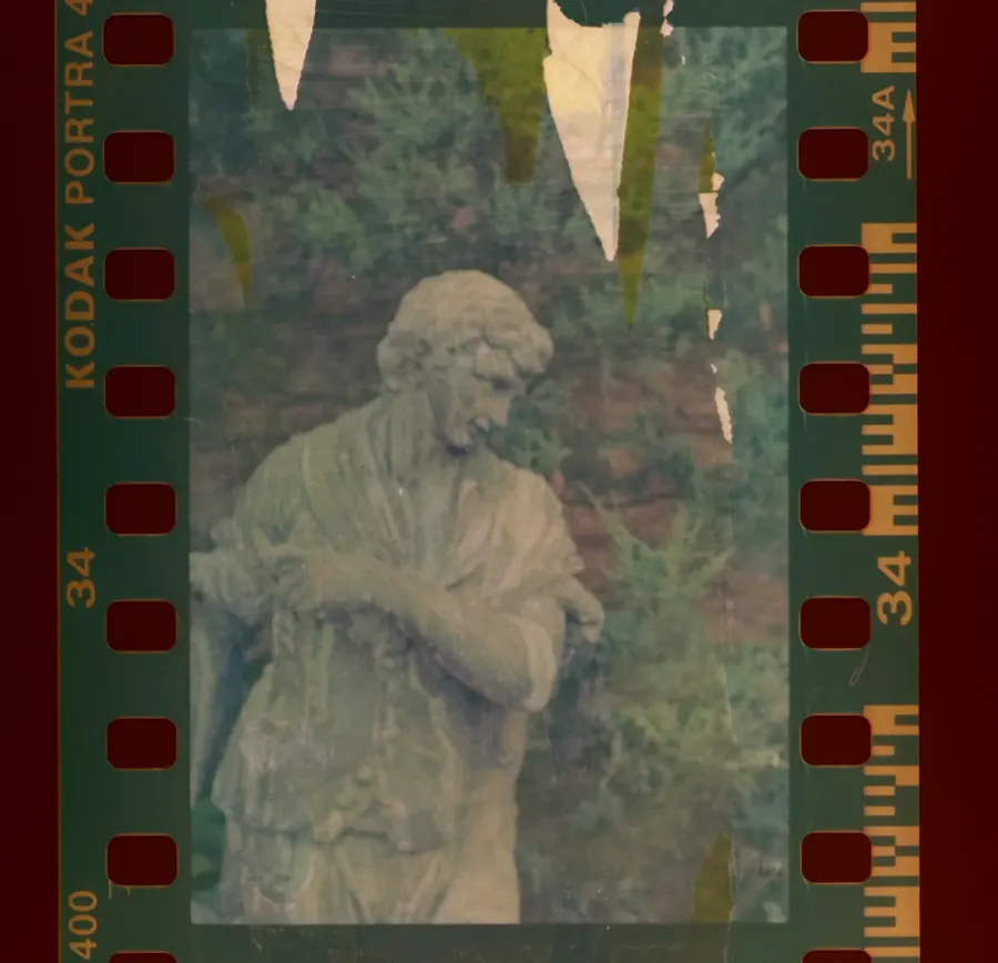 Film photograph