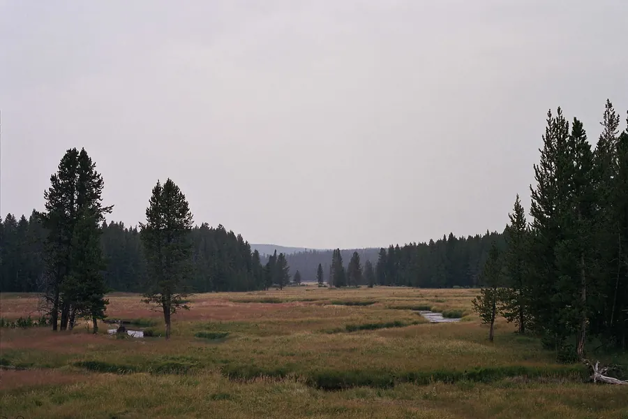 Yellowstone