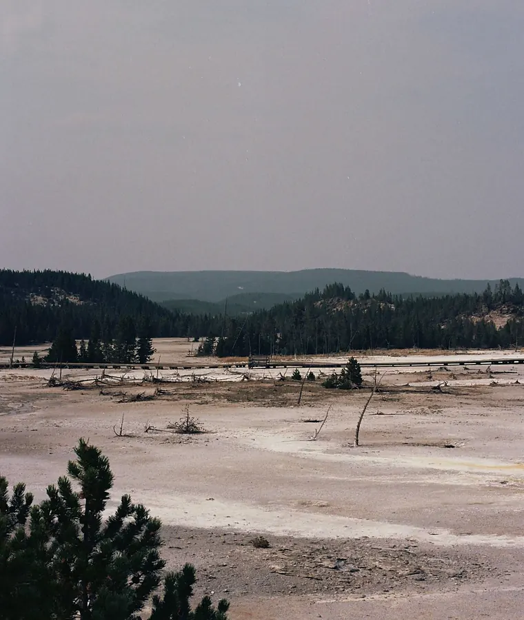 Yellowstone
